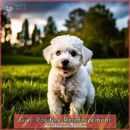 Give Positive Reinforcement