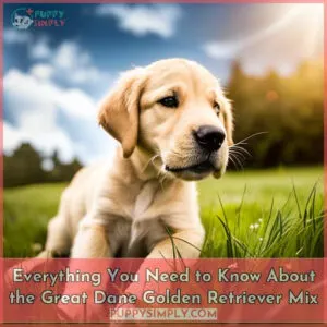 great dane golden retriever mix