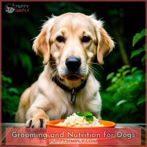 Grooming and Nutrition for Dogs