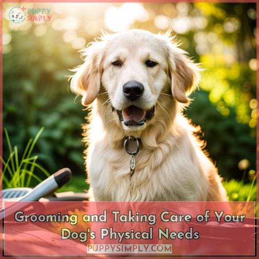 Grooming and Taking Care of Your Dog