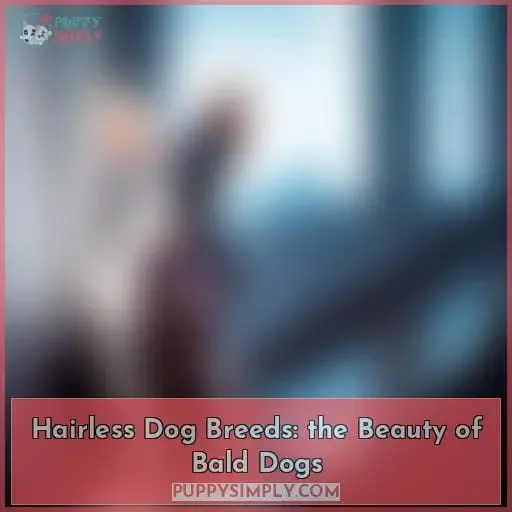 hairless dog breeds