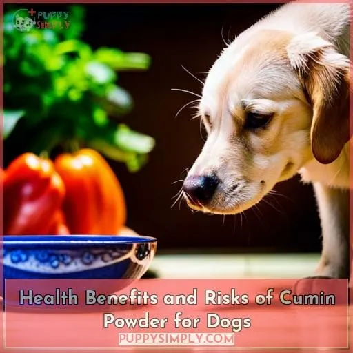 Health Benefits and Risks of Cumin Powder for Dogs