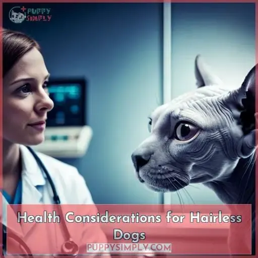 Health Considerations for Hairless Dogs