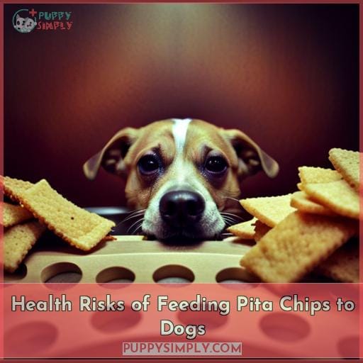 Health Risks of Feeding Pita Chips to Dogs