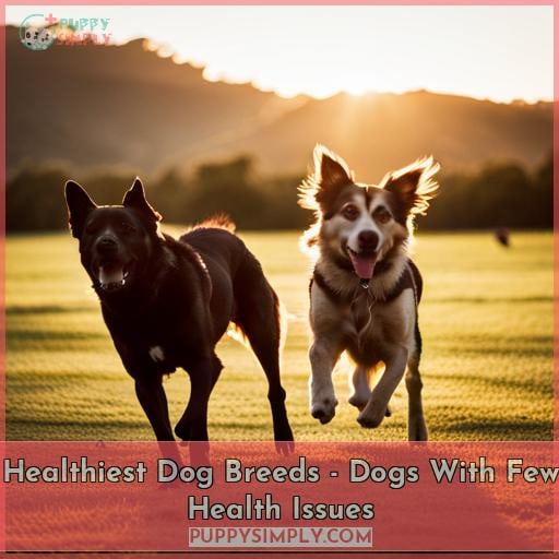 Healthiest Dog Breeds - Dogs With Few Health Issues