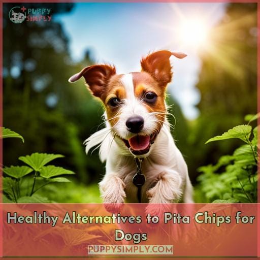 Healthy Alternatives to Pita Chips for Dogs