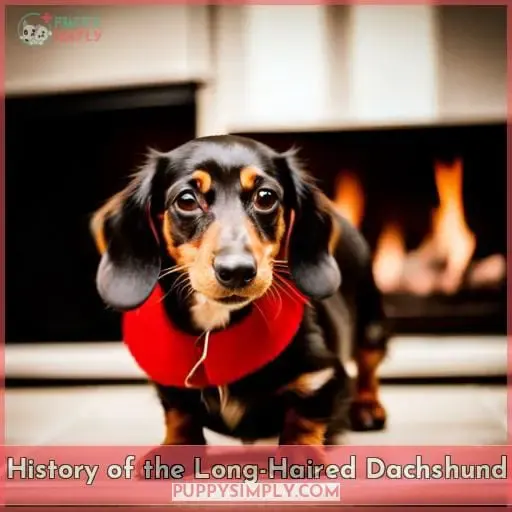 History of the Long-Haired Dachshund