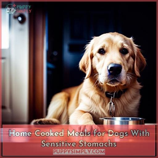 Home Cooked Meals for Dogs With Sensitive Stomachs