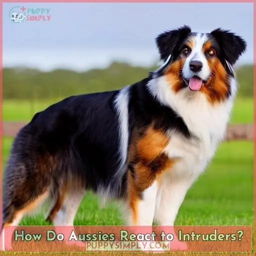 How Do Aussies React to Intruders