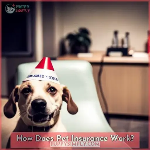 How Does Pet Insurance Work