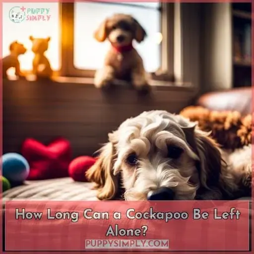 how long can a cockapoo be left alone