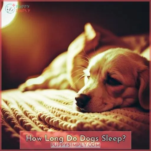 How Long Do Dogs Sleep