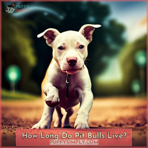 How Long Do Pit Bulls Live