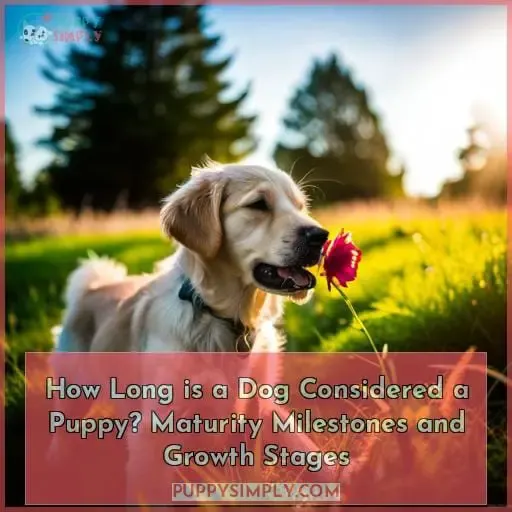 how long is a dog considered a puppy