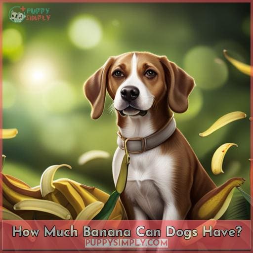 How Much Banana Can Dogs Have