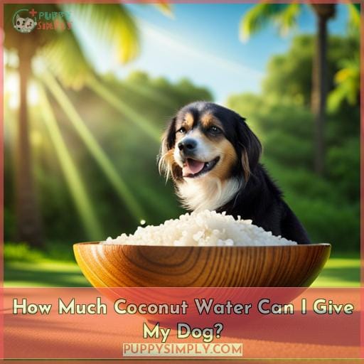 How Much Coconut Water Can I Give My Dog