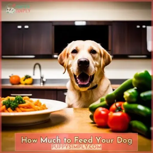 How Much to Feed Your Dog