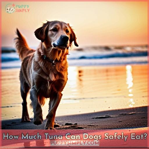How Much Tuna Can Dogs Safely Eat