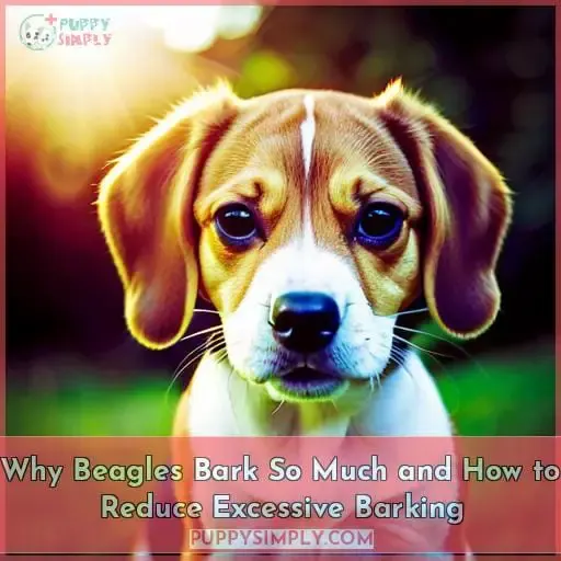 how often do beagles bark