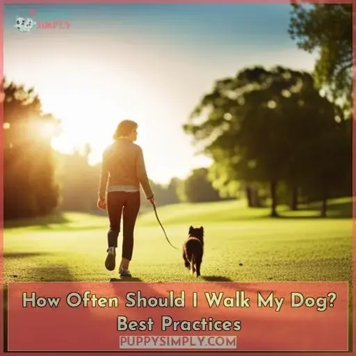 how often do you walk your dog