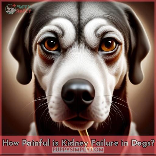 How Painful is Kidney Failure in Dogs