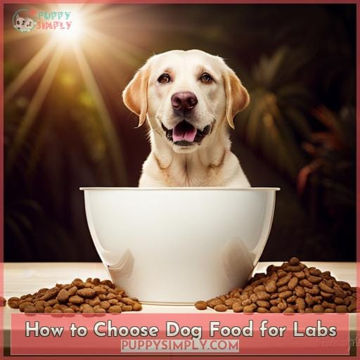 How to Choose Dog Food for Labs