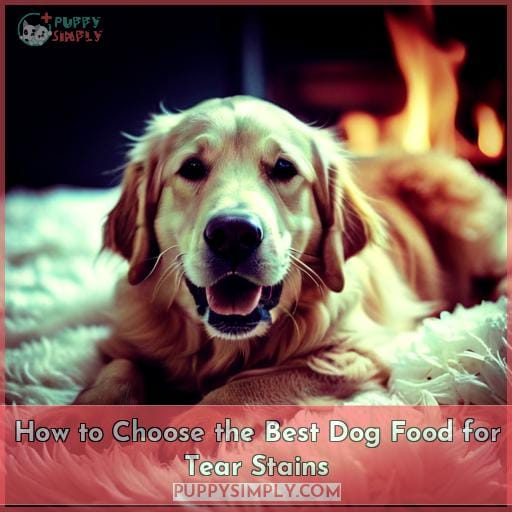 Best Dog Food for Tear Stains (2023 Vet