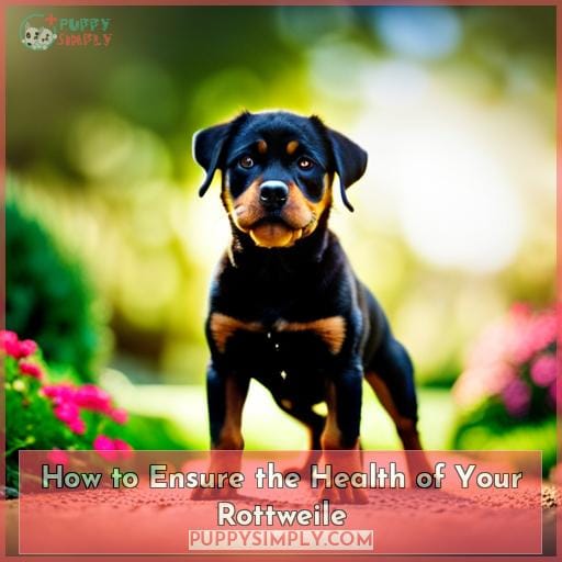 How to Ensure the Health of Your Rottweile