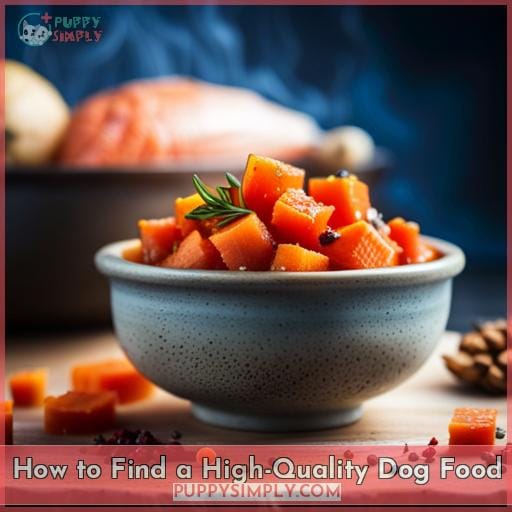 How to Find a High-Quality Dog Food