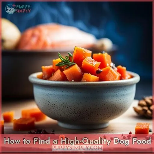 How to Find a High-Quality Dog Food