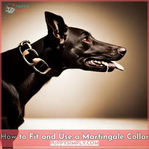 How to Fit and Use a Martingale Collar