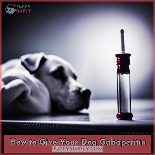 How to Give Your Dog Gabapentin