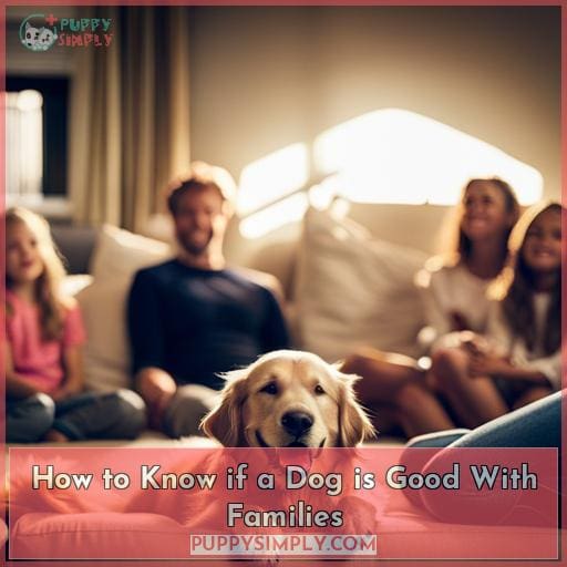 How to Know if a Dog is Good With Families