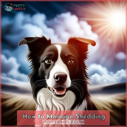 How to Manage Shedding