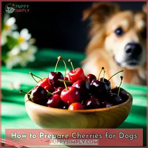 How to Prepare Cherries for Dogs