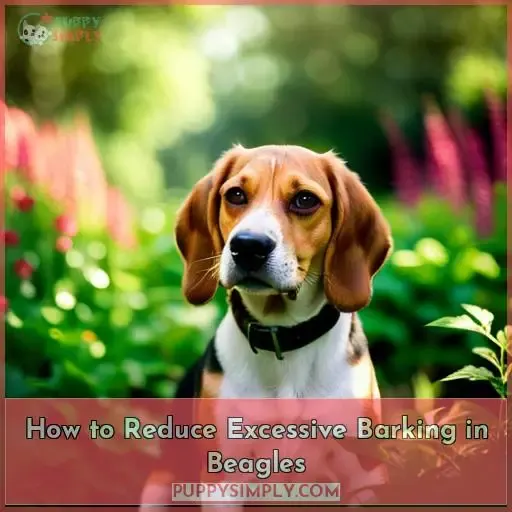 How to Reduce Excessive Barking in Beagles