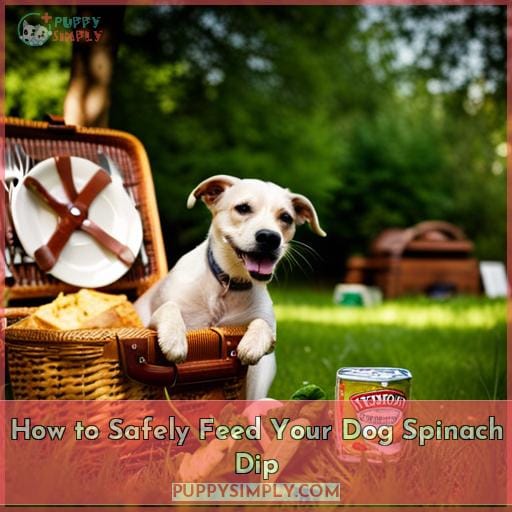 How to Safely Feed Your Dog Spinach Dip