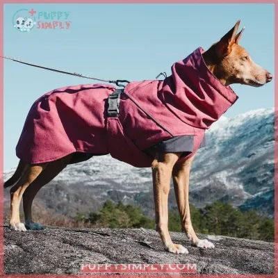 Hurtta Expedition Insulated Dog Parka