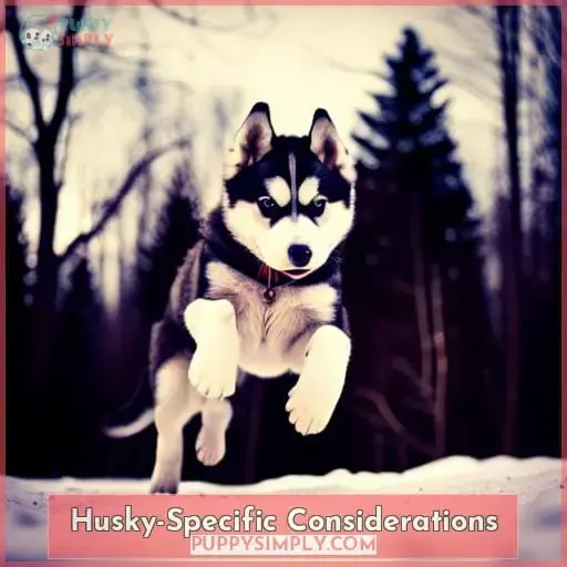 Husky-Specific Considerations