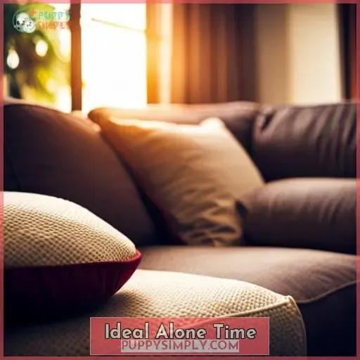 Ideal Alone Time