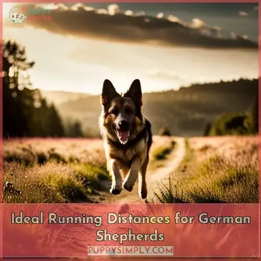 Ideal Running Distances for German Shepherds