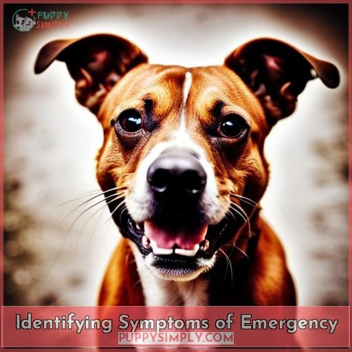 Identifying Symptoms of Emergency