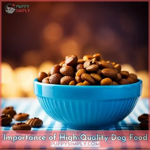 Importance of High-Quality Dog Food