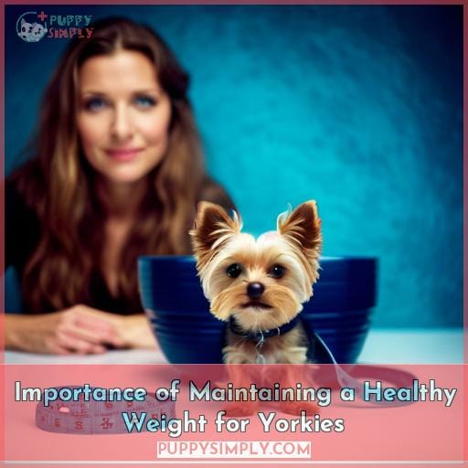 Importance of Maintaining a Healthy Weight for Yorkies