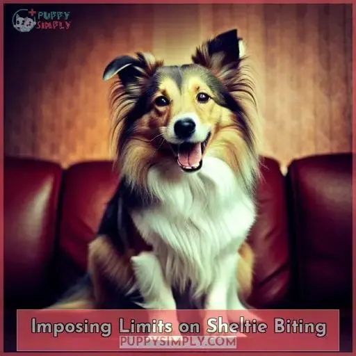 Imposing Limits on Sheltie Biting