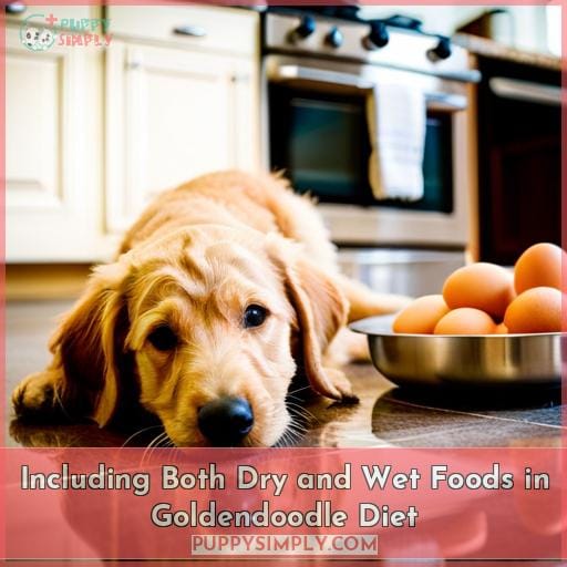 Including Both Dry and Wet Foods in Goldendoodle Diet
