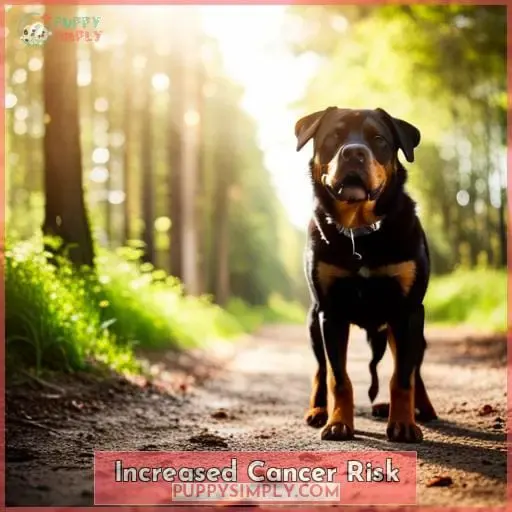 Increased Cancer Risk