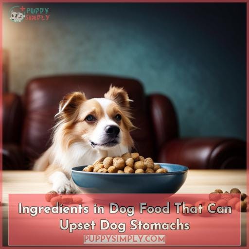 Ingredients in Dog Food That Can Upset Dog Stomachs