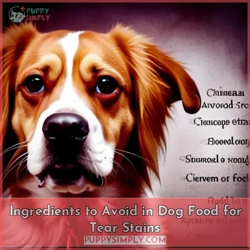Ingredients to Avoid in Dog Food for Tear Stains