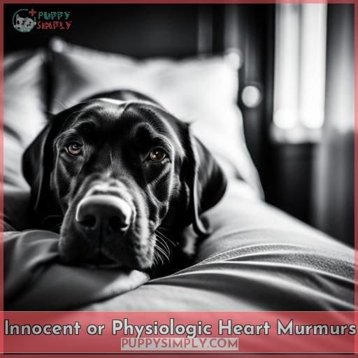 Innocent or Physiologic Heart Murmurs